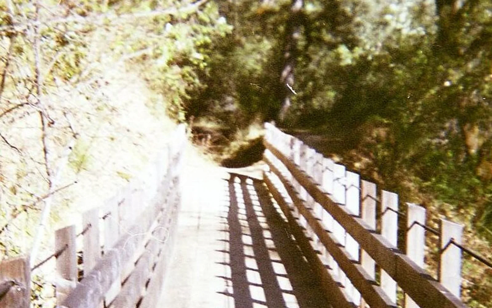 Independence Trail path showing natural California landscape with trees and trail amenities for recreation